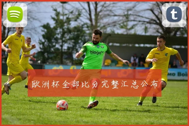 欧洲杯全部比分完整汇总公布