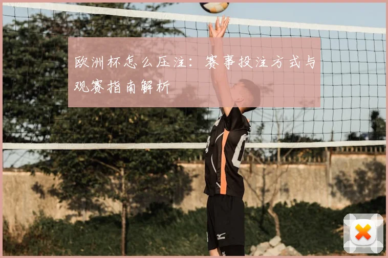 欧洲杯怎么压注：赛事投注方式与观赛指南解析
