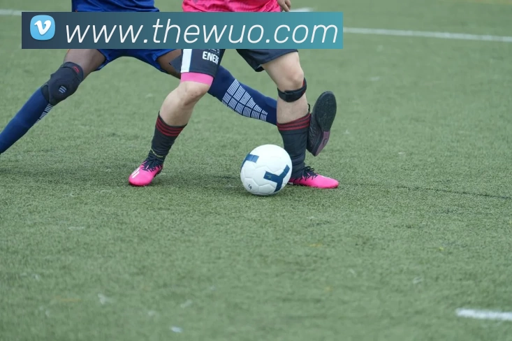 乐竞体育·乐竞官方网站 - 乐竞体育(中国)服务体系